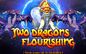 Two Dragons Flourishing Arcade Gaming Fishing Hunter Software Kits Gambling Fish Casino Table Machine