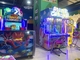 Animal Carnival Arcade Gambling Fierce Betting Amusement Casino Game Machine
