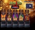 Jinse Dao 4 in 1 Tiger 43 Inch Vertical Screen Slot Game Machine Casino Gambling Pcb Board Machine